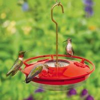 Ruby throated Hummingbirds-on-the-WBu-High-Perch Hummingbird Feeder