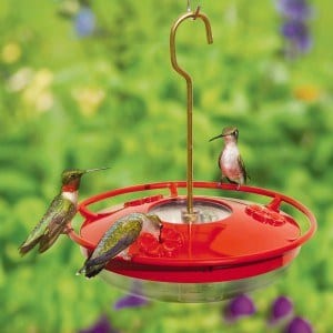 blog ruby throated hummingbirds on the wbu high perch hummingbird feeder 053013