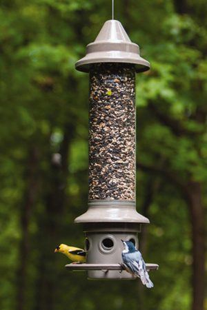 window bird feeder plans