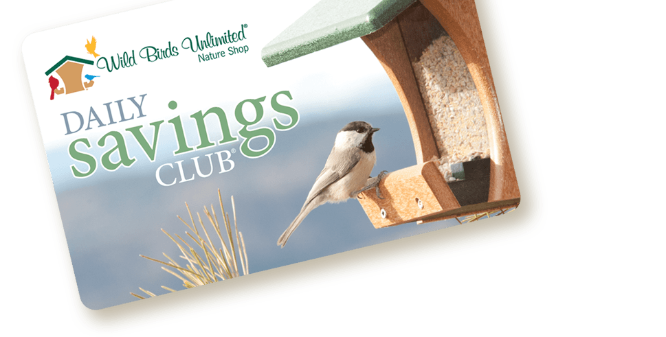 Home  Wild Birds Unlimited