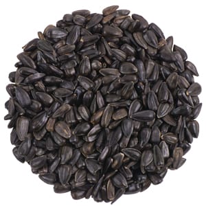 Premium Black Oil Sunflower, Bird Food, Wild Birds Unlimited, WBU