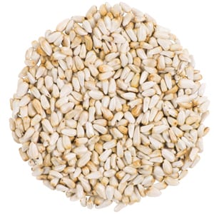 Safflower, Straight Seed, Bird Food, Wild Birds Unlimited, WBU