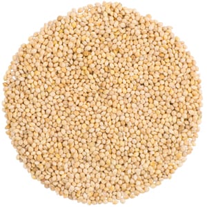 White Millet, Straight Seed, Bird Food, Wild Birds Unlimited, WBU