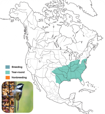 Carolina Chickadee Range Map, Wild Birds Unlimited, WBU