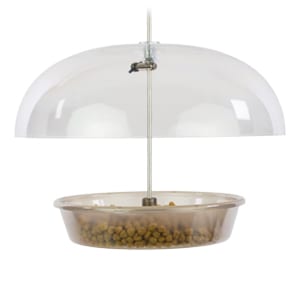 EcoClean Dinner Bell, Bird Feeder, Wild Birds Unlimited, bird feeder