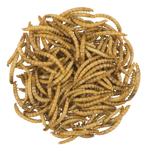 Mealworms, Bird Food, Wild Birds Unlimited, WBU