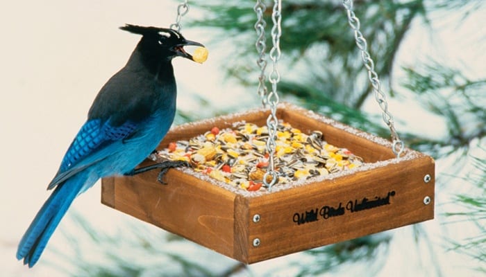 Wildlife Blend, Bird Food, Wild Birds Unlimited, WBU