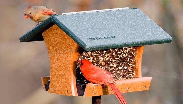 EcoTough Classic Hopper Feeder, Bird Feeder, Wild Birds Unlimited, WBU