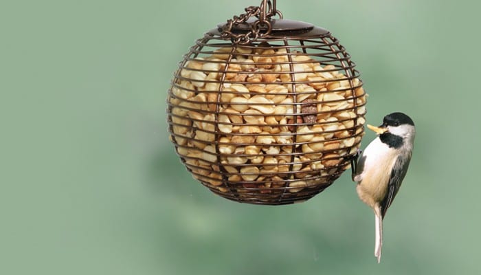 Peanut Ball, Bird Feeder, Wild Birds Unlimited, WBU