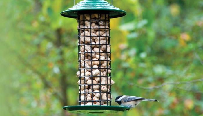 Peanut Hut, Bird Feeder, Wild Birds Unlimited, WBU