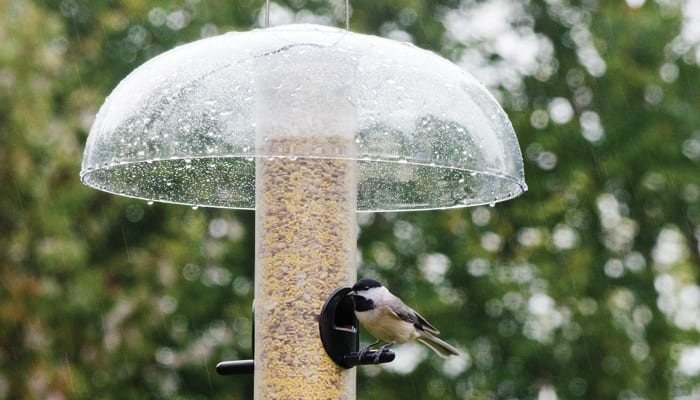 Weather Guard, Bird Feeder, Wild Birds Unlimited, WBU