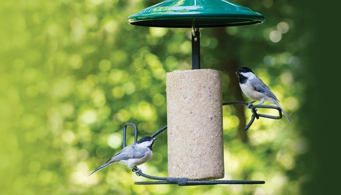 Seed Cylinder Feeder, Bird Feeder, Wild Birds Unlimited, WBU