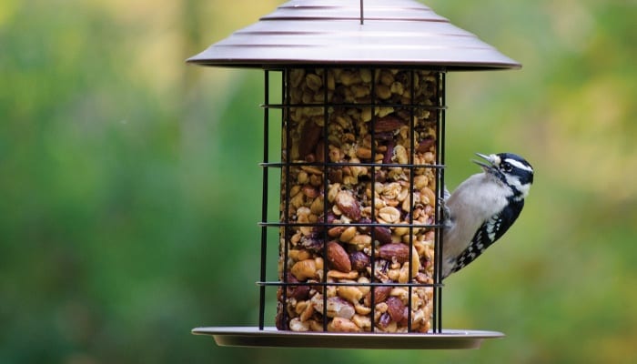 Tidy Cylinder Feeder, Bird Feeder, Wild Birds Unlimited, WBU