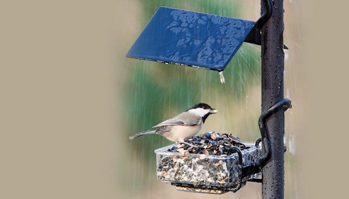 APS SideDish Tray, Bird Feeder, Wild Birds Unlimited, WBU