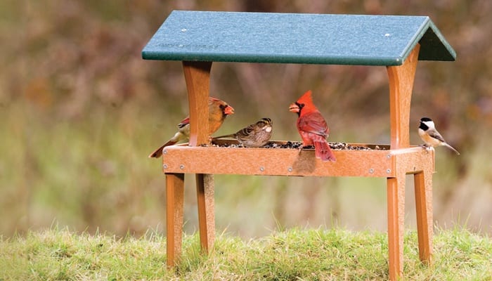 EcoTough Covered Ground Tray, Bird Feeder, Wild Birds Unlimited, WBU