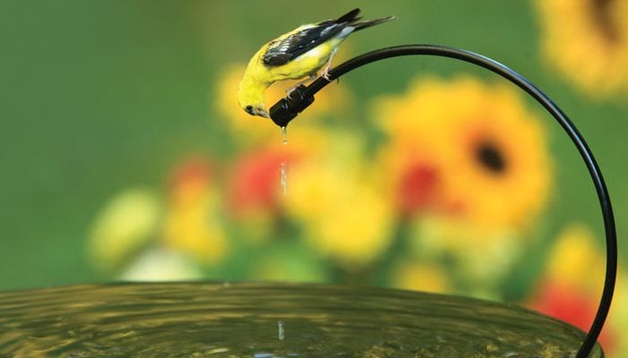 Drip-or-Mist, Bird Bath, Water, Wild Birds Unlimited, WBU