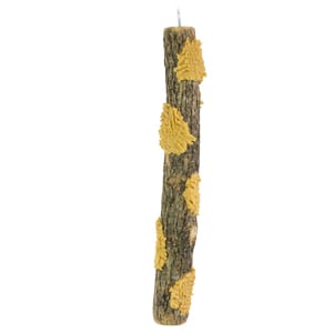 Lenny's Log Feeder, Bark Butter Feeder, Bird Feeder, Wild Birds Unlimited, WBU