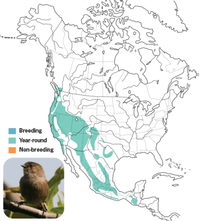 Bushtit Range Map, Wild Birds Unlimited, WBU
