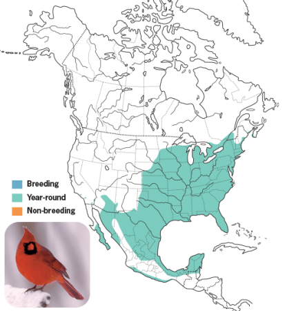 Nothern Cardinal Range Map, Wild Birds Unlimited, WBU