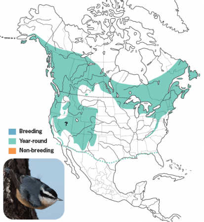 Red-breasted Nuthatch Range Map, Wild Birds Unlimited, WBU