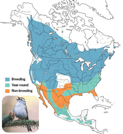 Chipping Sparrow Range Map, Wild Birds Unlimited, WBU