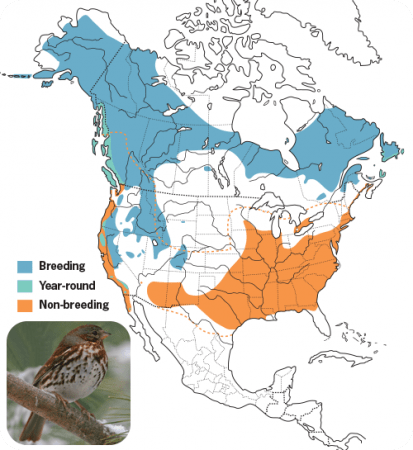 Fox Sparrow Range Map, Wild Birds Unlimited, WBU