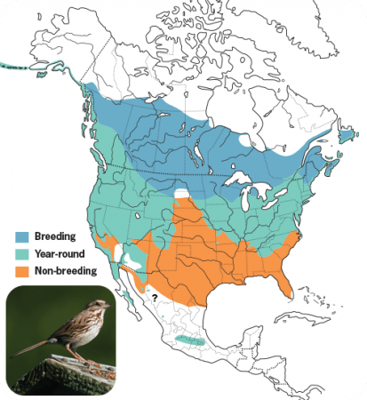 Song Sparrow Range Map, Wild Birds Unlimited, WBU