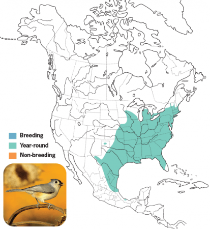 Tufted Titmouse Range Map, Wild Birds Unlimited, WBU