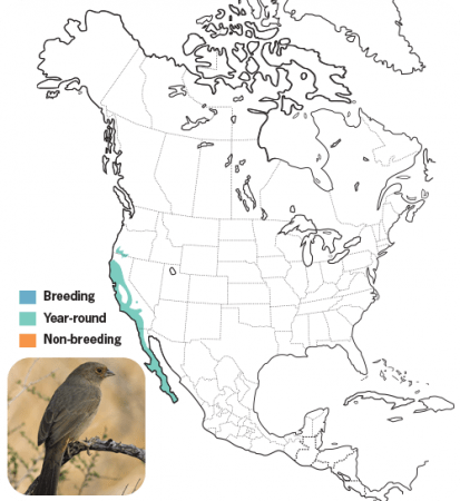 California Towhee Range Map, Wild Birds Unlimited, WBU