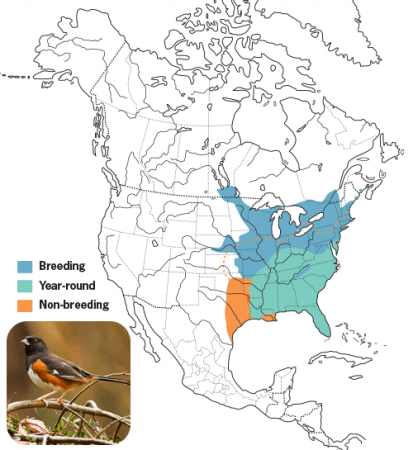 Eastern Towhee Range Map, Wild Birds Unlimited, WBU