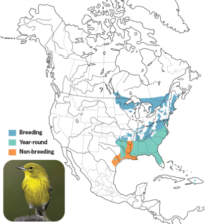 Pine Warbler Range Map, Wild Birds Unlimited, WBU