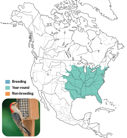 Red-bellied Woodpecker Range Map, Wild Birds Unlimited, WBU