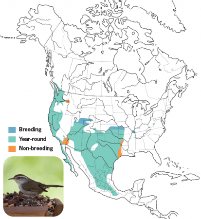 Bewick's Wren Range Map, Wild Birds Unlimited, WBU