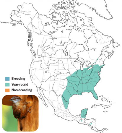 Carolina Wren Range Map, Wild Birds Unlimited, WBU