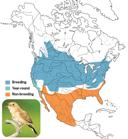 House Wren Range Map, Wild Birds Unlimited, WBU