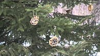 Decorate a Tree, How Cool is That Video Thumbnail, Wild Birds Unlimited, WBU