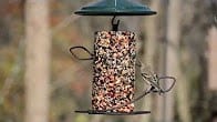 Seed Cylinders, How Cool is That Video Thumbnail, Wild Birds Unlimited, WBU