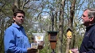 Attract woodpeckers, How to Video Thumbnail, Wild Birds Unlimited, WBU