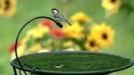 Drip-or-Mist, Products Video Thumbnail, Wild Birds Unlimited, WBU