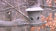 Eliminator, Products Video Thumbnail, Wild Birds Unlimited, WBU