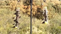 Quick-Clean Finch Feeder, Products Video Thumbnail, Wild Birds Unlimited, WBU