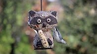 Rascal the Raccoon Seed Cylinder, Products Video Thumbnail, Wild Birds Unlimited, WBU