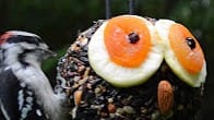 Seed Characters, Products Video Thumbnail, Wild Birds Unlimited, WBU