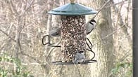 Seed Cylinder Feeder, Products Video Thumbnail, Wild Birds Unlimited, WBU