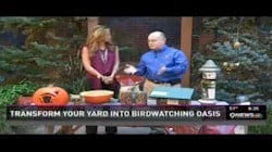 Prepare Your Yard for Fall Bird Feeding