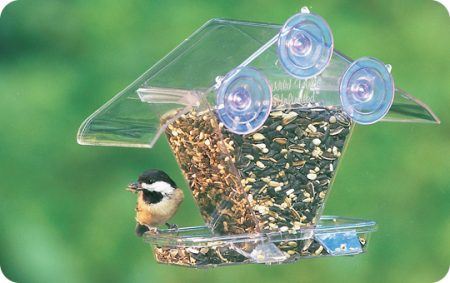 Window Strikes And What You Can Do To Prevent Them Wild Birds