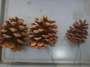 blog-wreath04-pine-cones-121313