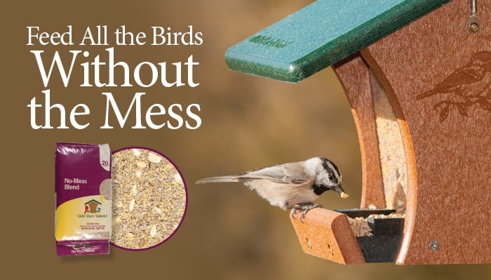 Bird Seed  Wild Birds Unlimited