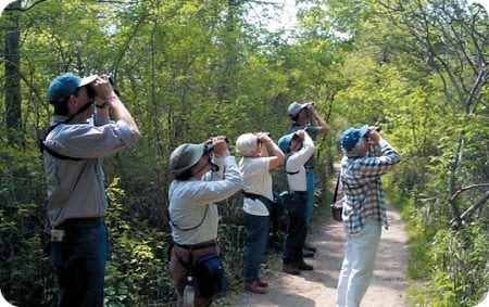 Birdwatching