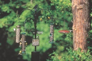 Wild Birds Unlimited Advanced Pole System